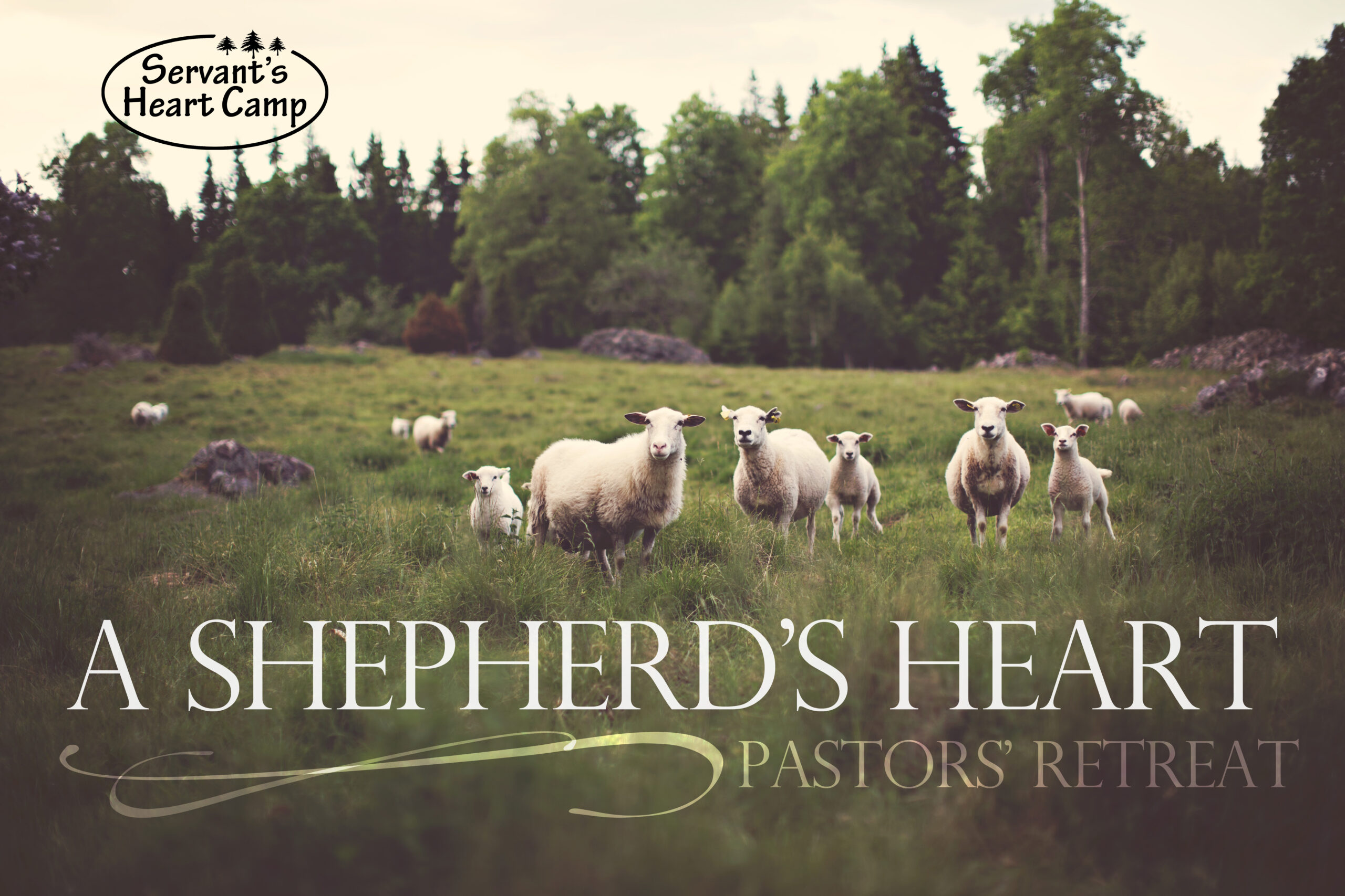You are currently viewing Shepherd’s Heart Retreat